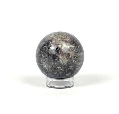 Mercury Globe PREORDER (expected late July)