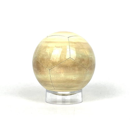 Venus Globe PREORDER (expected late July)