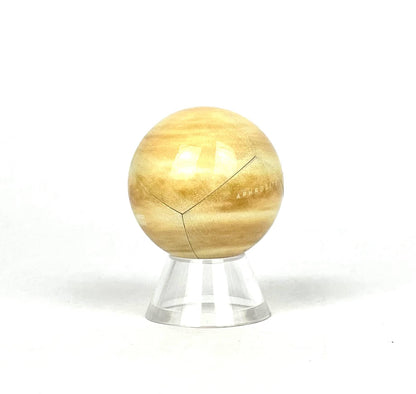 Venus Globe PREORDER (expected late July)